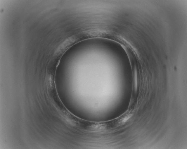 X0000074940117200609011125