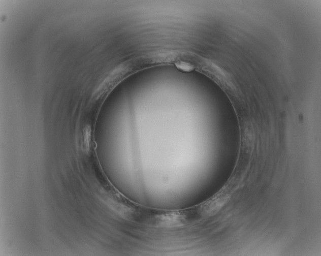 X0000074940118200609011125