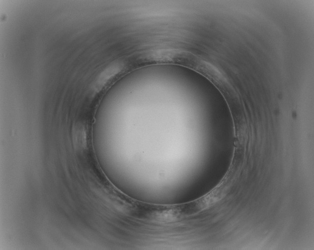 X0000074940120200609011125