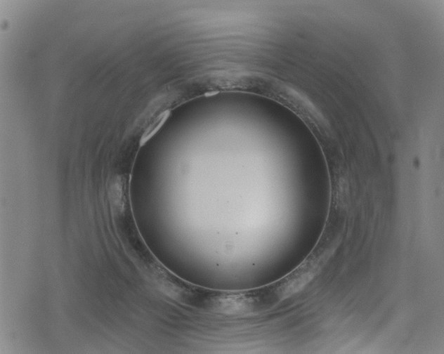 X0000074940121200609011125