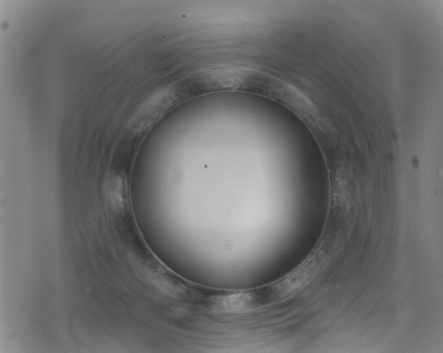 X0000074940122200609011125