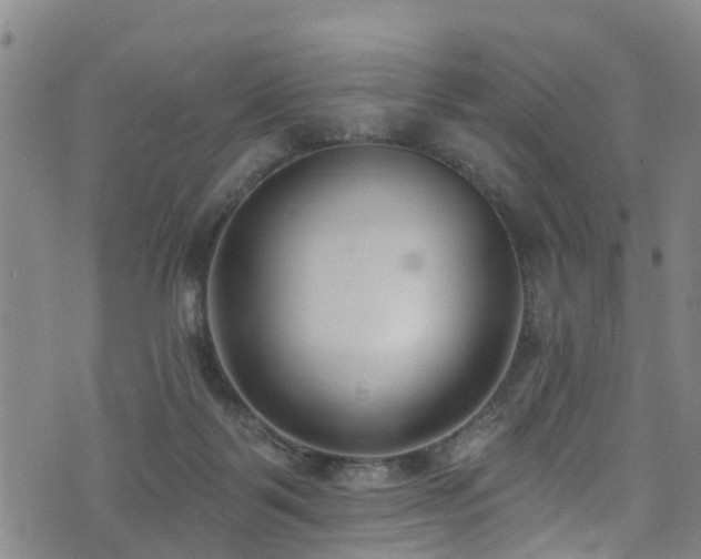 X0000074940123200609011125