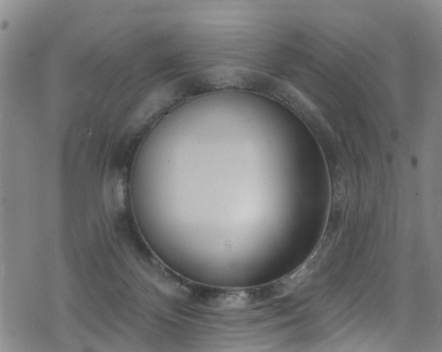 X0000074940124200609011125