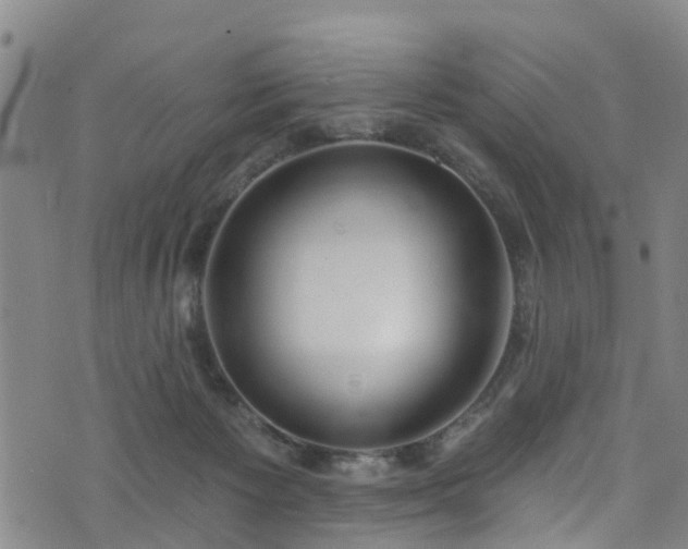 X0000074940125200609011125