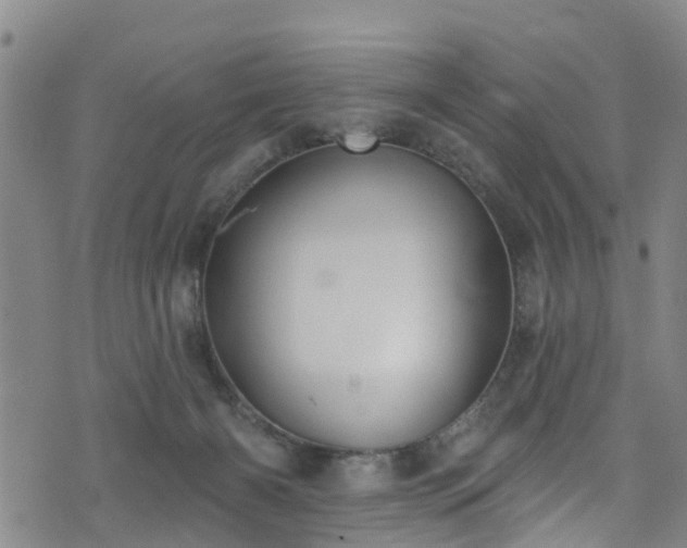 X0000074940126200609011125