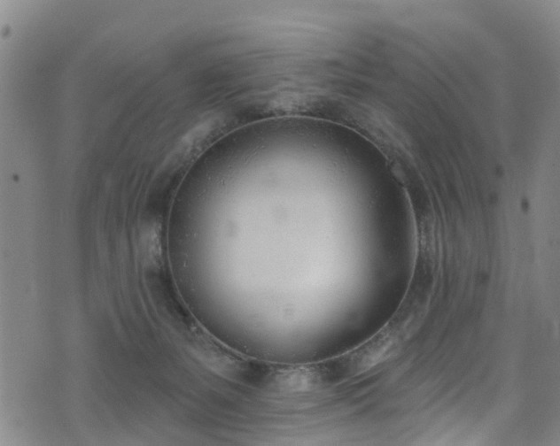 X0000074940127200609011125