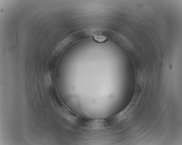 X0000074940128200609011125