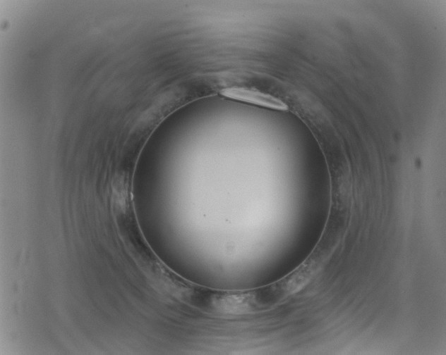 X0000074940129200609011125