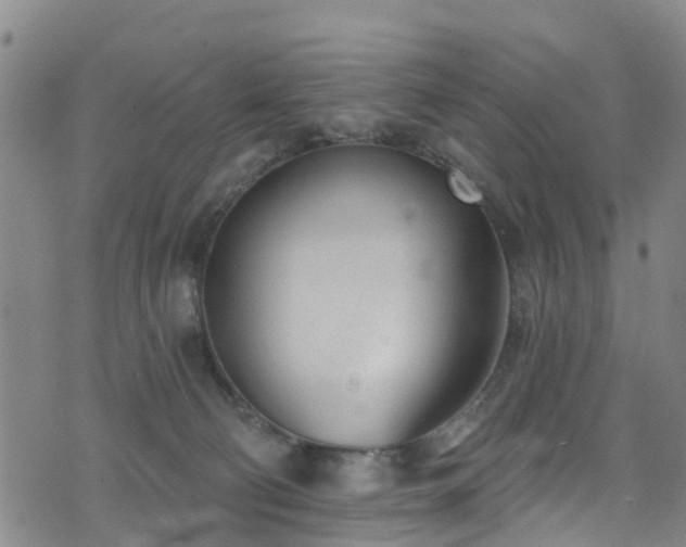 X0000074940130200609011125