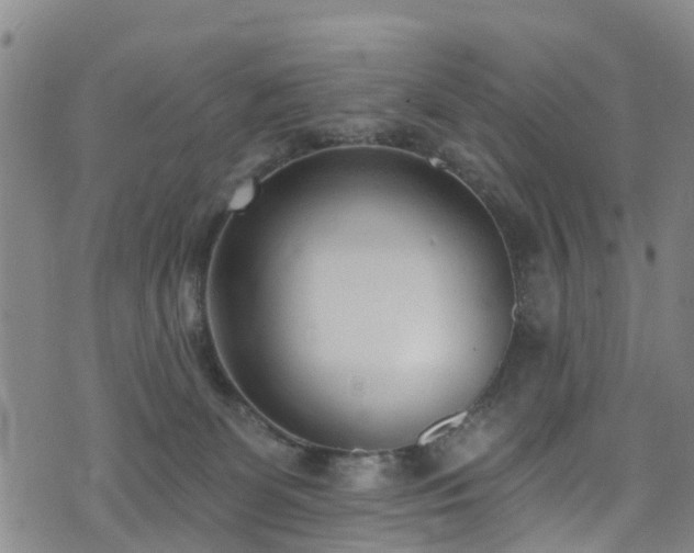 X0000074940131200609011125