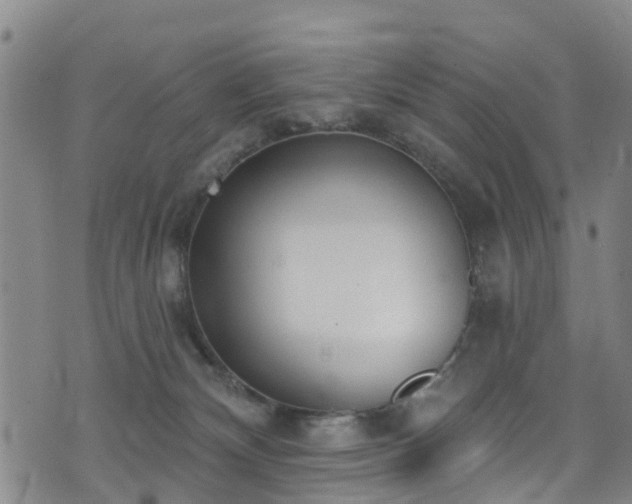 X0000074940132200609011125