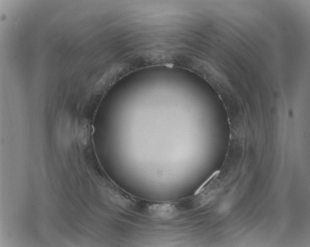 X0000074940133200609011125