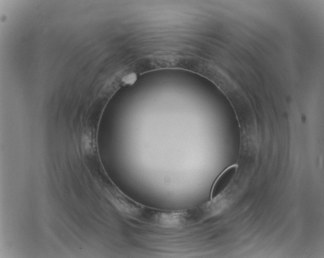 X0000074940134200609011125