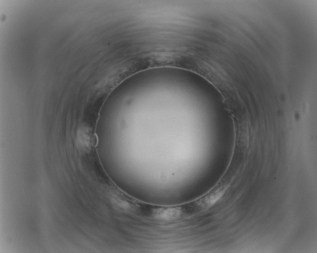 X0000074940135200609011125