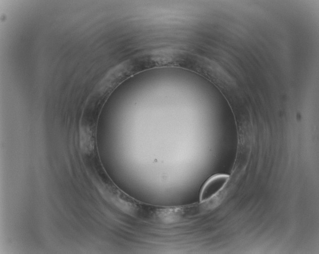 X0000074940136200609011125