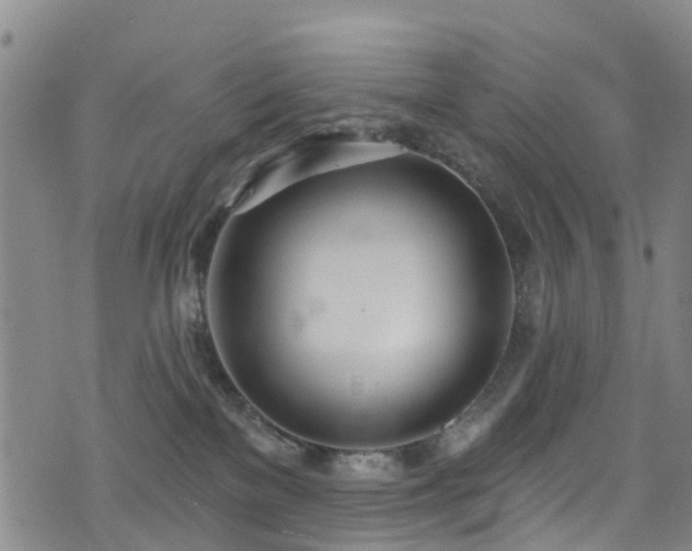 X0000074940137200609011125