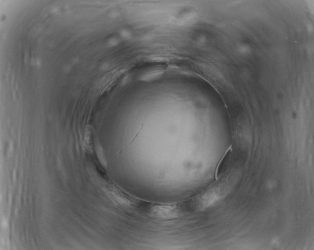 X0000074940139200609011125