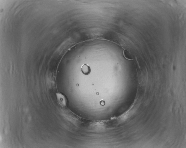 X0000074940140200609011125