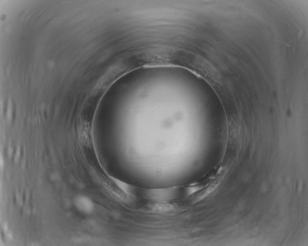 X0000074940141200609011125