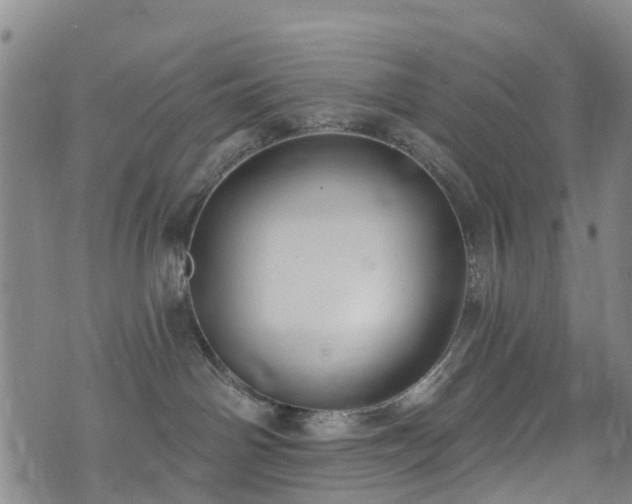 X0000074940142200609011125