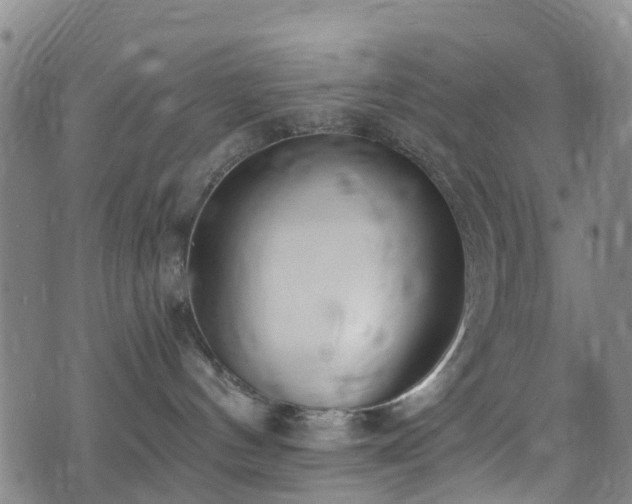 X0000074940144200609011125