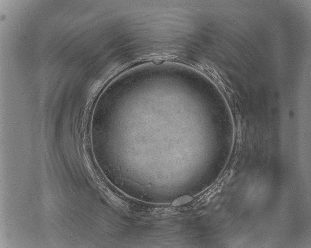 X0000074940145200609011124