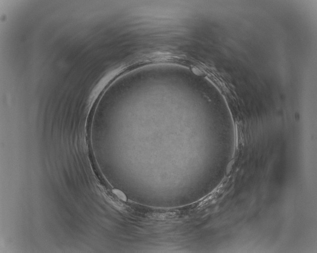 X0000074940147200609011124