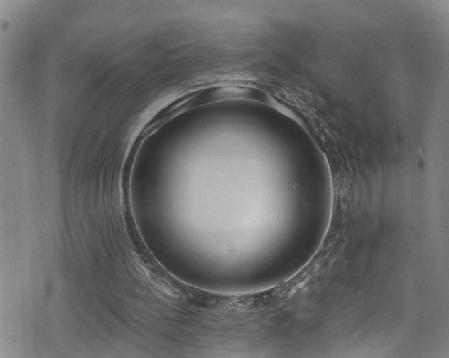 X0000074940148200609011124