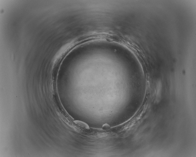 X0000074940149200609011124