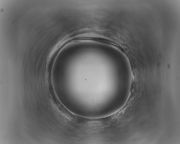 X0000074940150200609011124