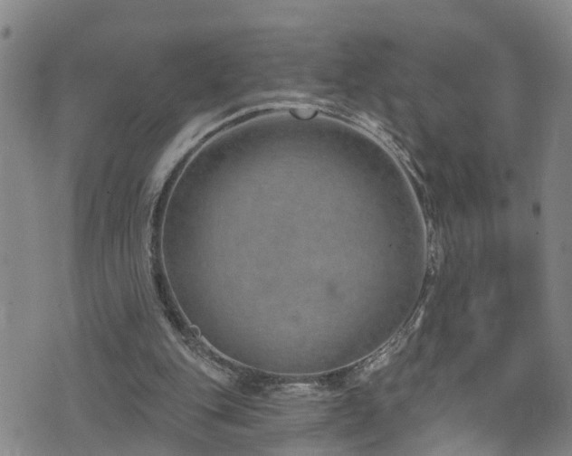 X0000074940151200609011124