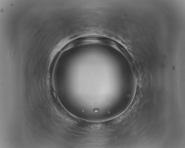 X0000074940152200609011124