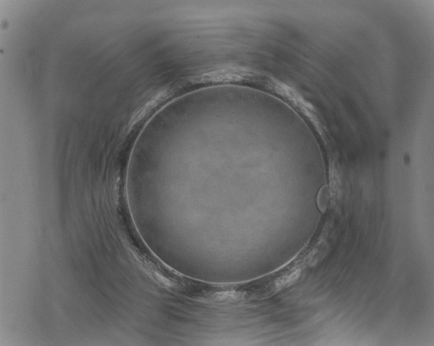 X0000074940153200609011124