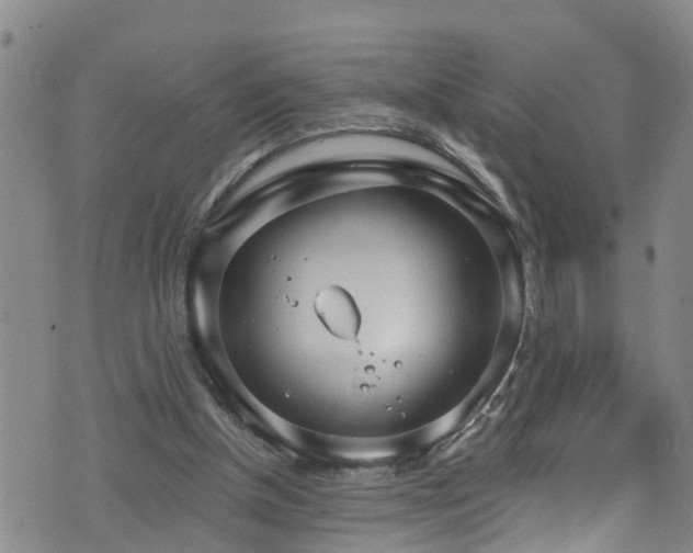 X0000074940154200609011124