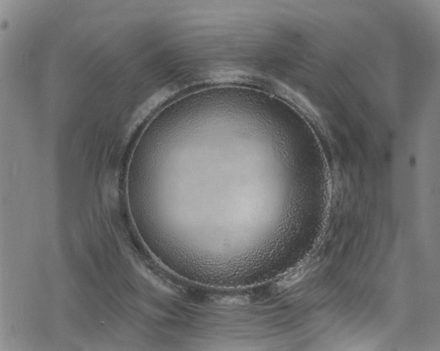 X0000074940155200609011124