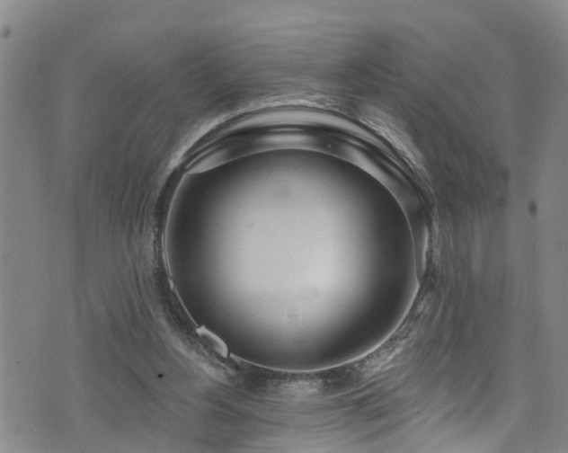 X0000074940156200609011124