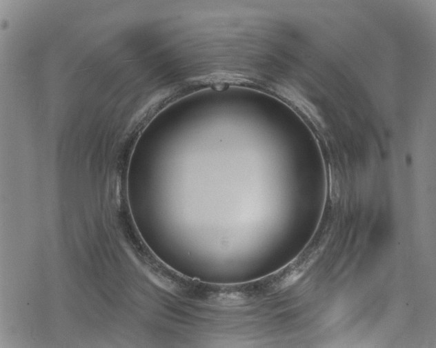 X0000074940157200609011124