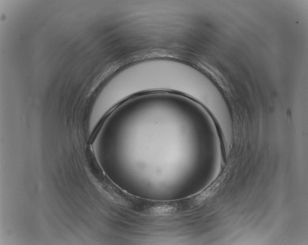 X0000074940158200609011124