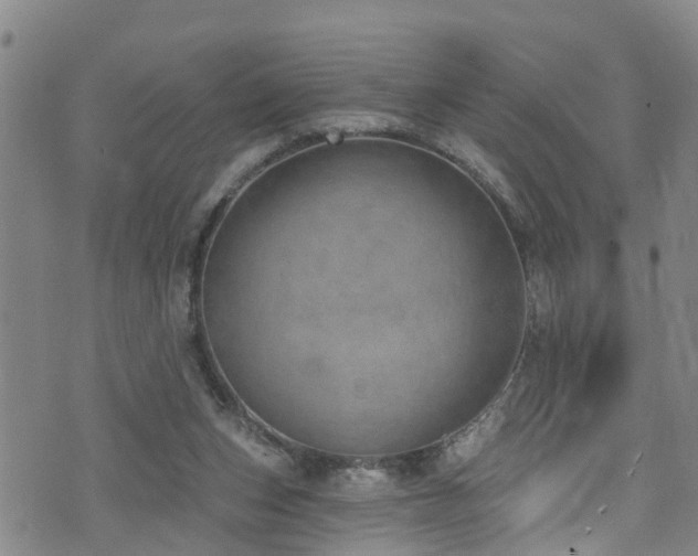 X0000074940159200609011124