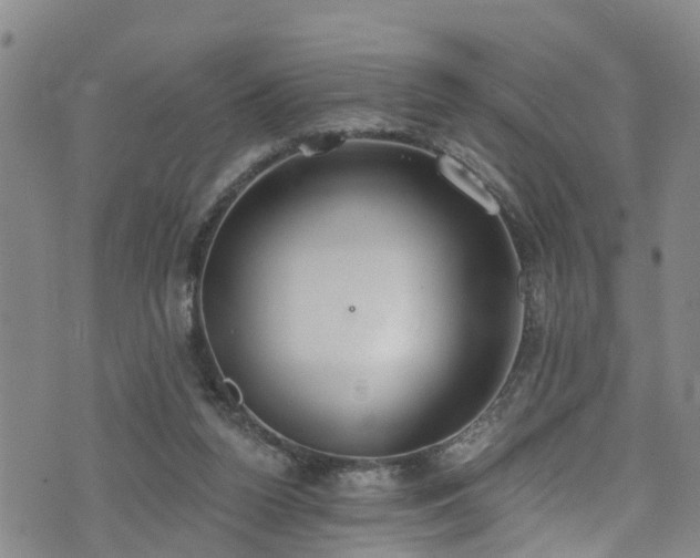 X0000074940160200609011124