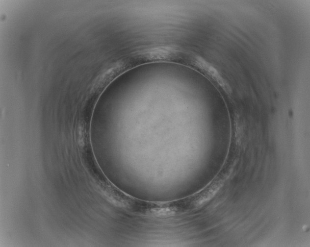 X0000074940161200609011124