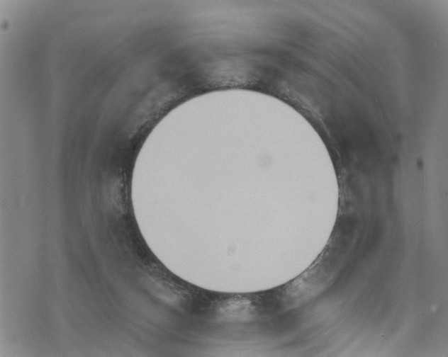 X0000074940162200609011124