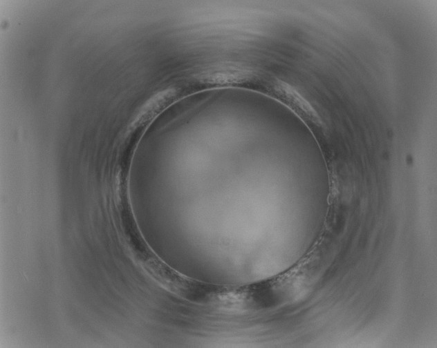 X0000074940163200609011124