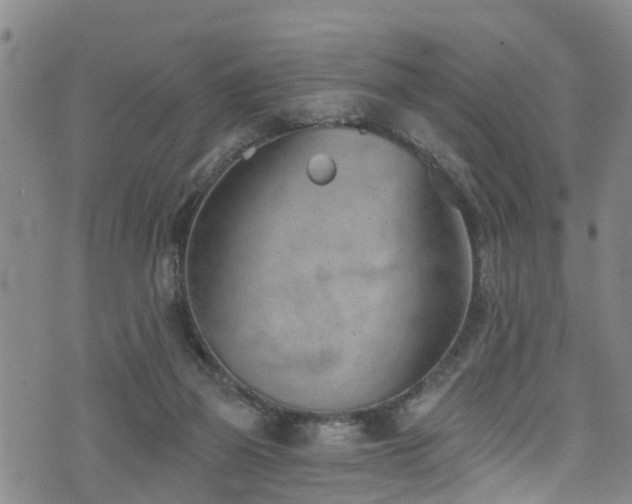 X0000074940165200609011125