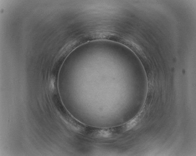 X0000074940166200609011125