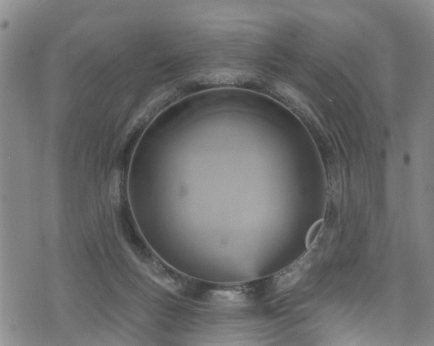 X0000074940167200609011125