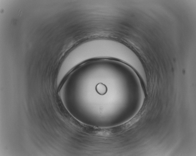 X0000074940168200609011125