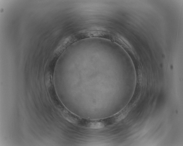 X0000074940169200609011125