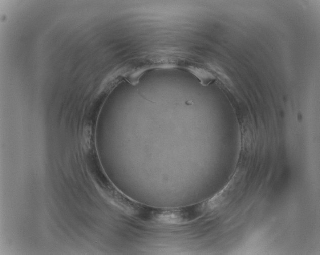 X0000074940171200609011125