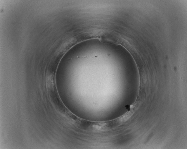 X0000074940172200609011125